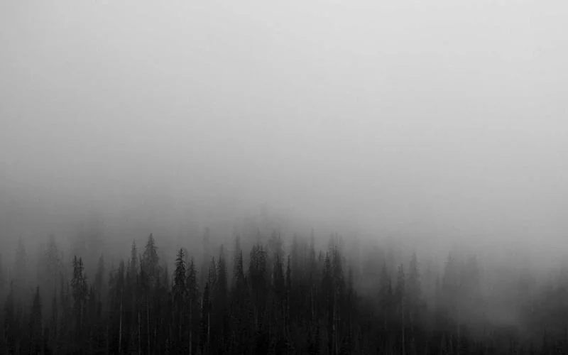 Astronomers Discovered the Missing Link in Galaxy Evolution