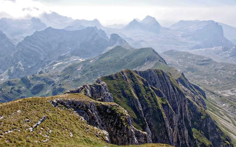 Come profumare la casa senza spray: 5 idee naturali con quello che hai già