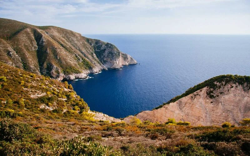 Conquer Stress Naturally: The Power of Adaptogens for Stress Relief