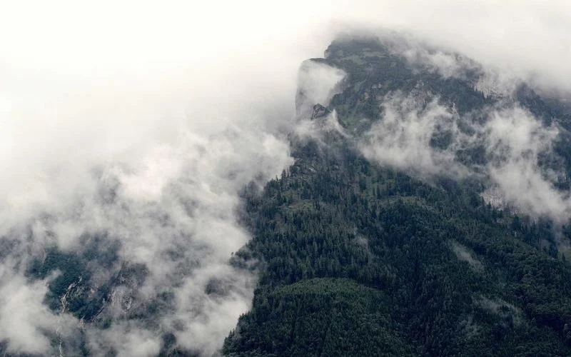 Essential Spring Home Prep: Ready Your Space for Renewal