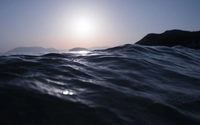 How to Cut Cabbage Thinly Without a Knife or Blender