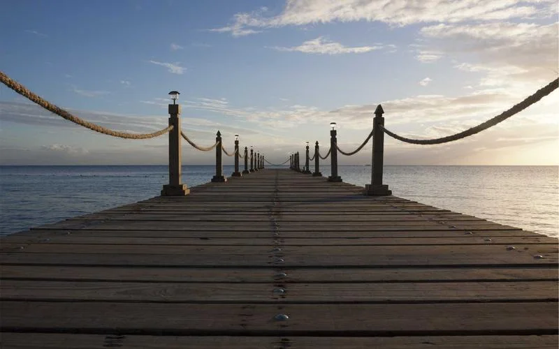 Laundry Drying Slowly? 5 Unusual Ways to Dry Clothes Twice as Fast