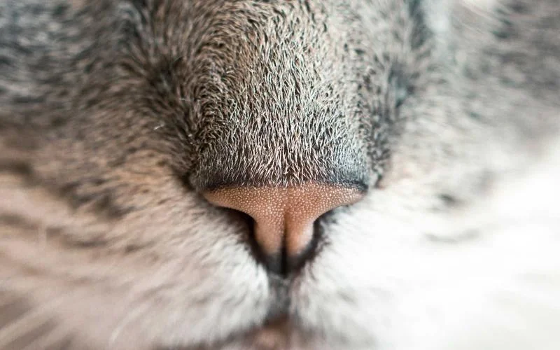 Morning Stretching Routine: 10 Minutes to Energize Your Day