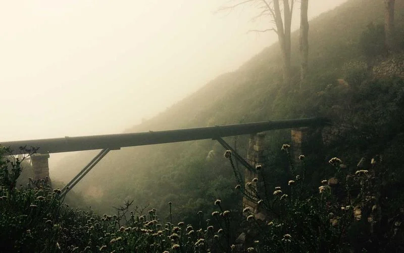 Unlock Calm: The Essential Digital Detox Benefits Guide