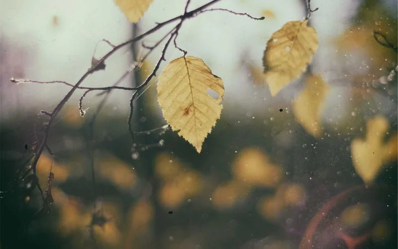 Unlock Smart Savings with AI Personal Finance Tools