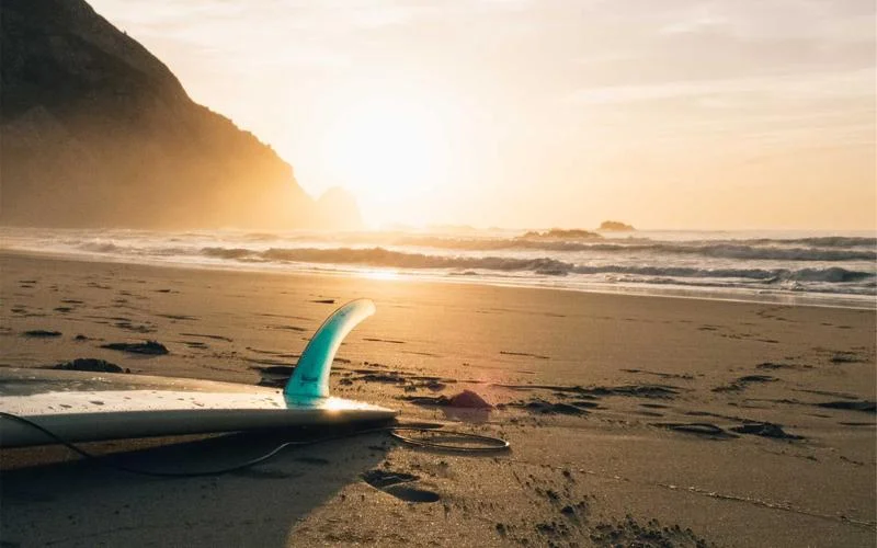 Why Your Cat Stares at Nothing: What It Really Senses